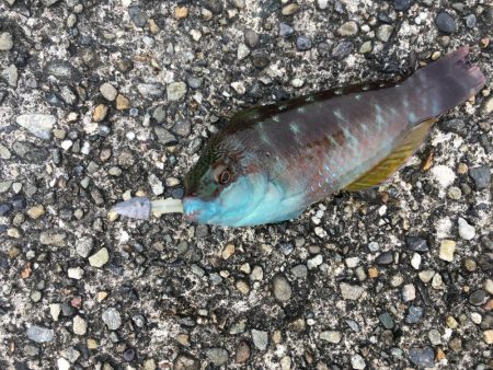 ライトゲームで4目